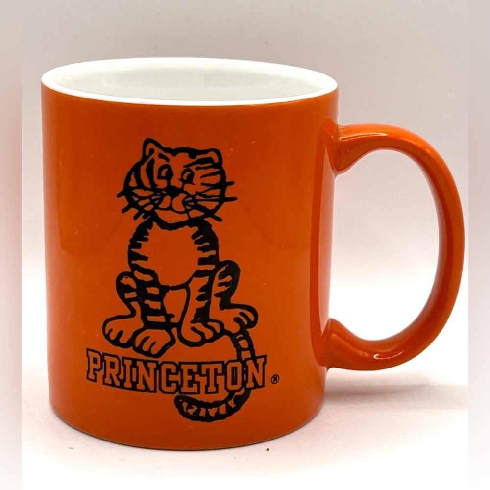 Princeton University Tigers Mascot Athletic Teams Orange Coffee Tea Mug 3.8 in